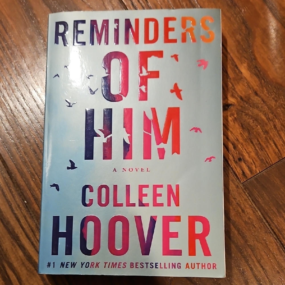 'Reminders of Him' Novel - Multicolor Cover